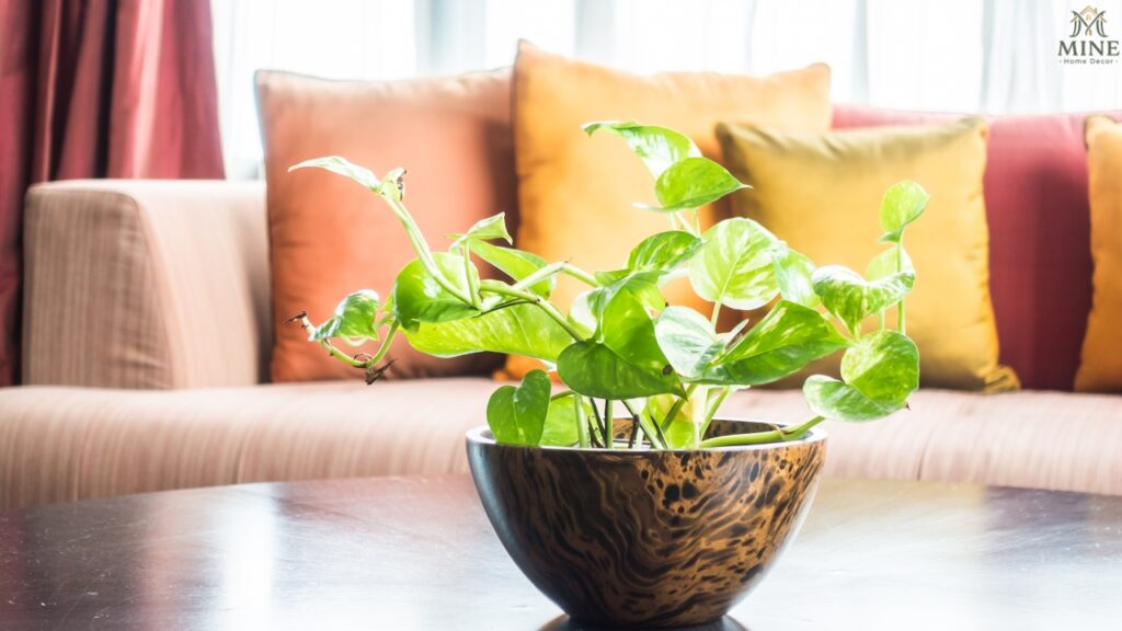 Economy Home Decor: Smart Budget Decorating Ideas for Stylish Homes (2025 Guide)