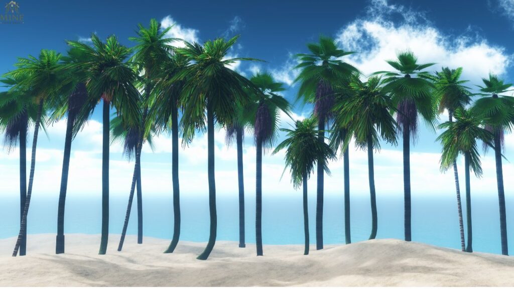 35 Types of Palm Trees: Identification Guide, Care Tips & Best Varieties