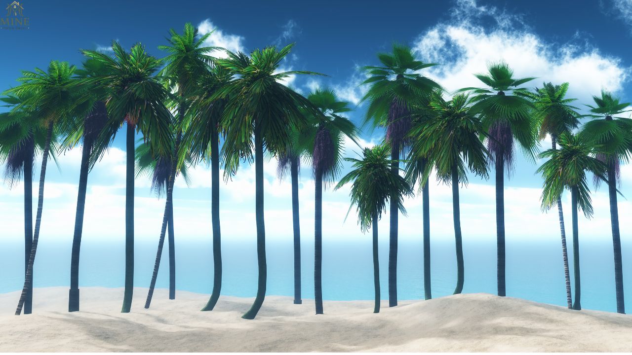 35 Types of Palm Trees: Identification Guide, Care Tips & Best Varieties