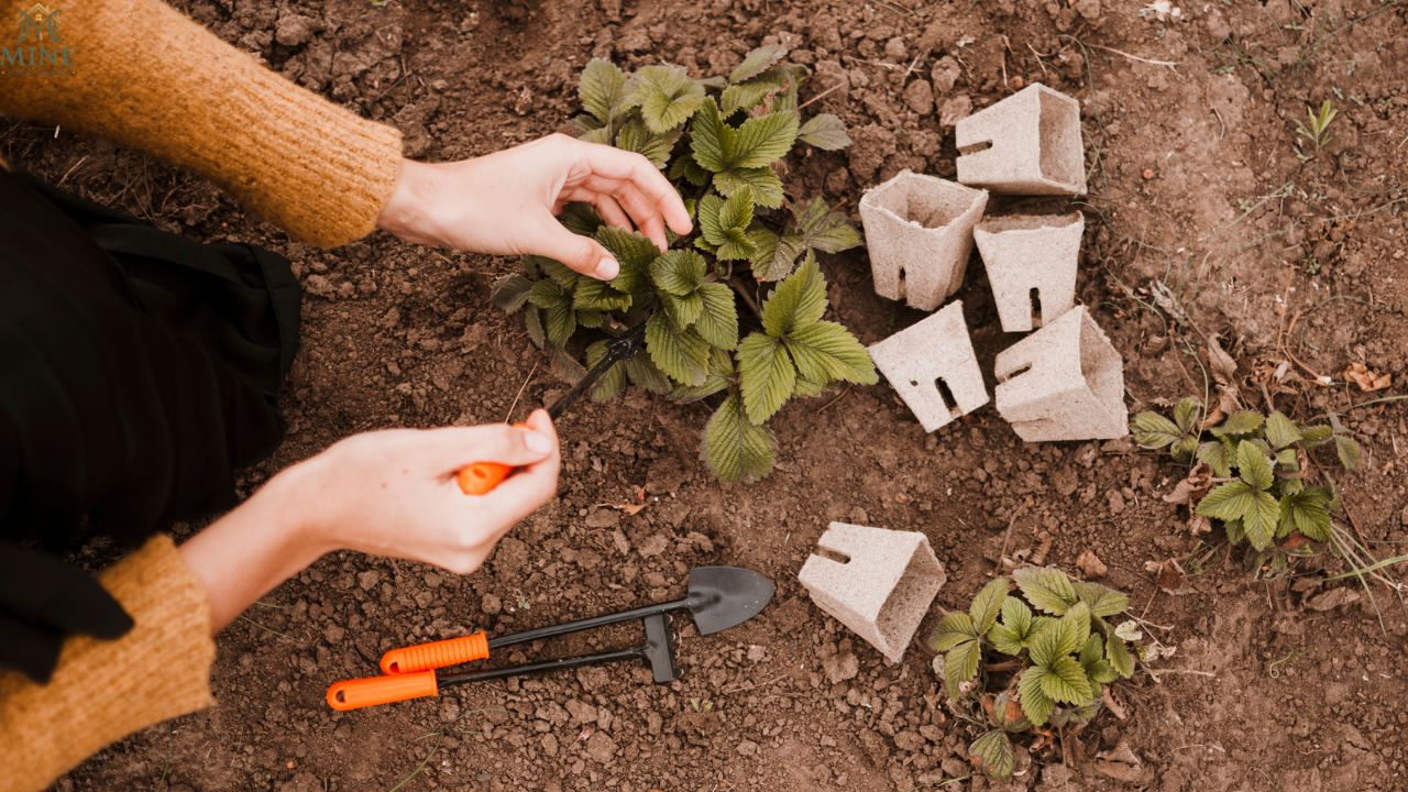 How Much Is a Yard of Dirt in 2026? Real Prices, Delivery Costs & Buying Guide